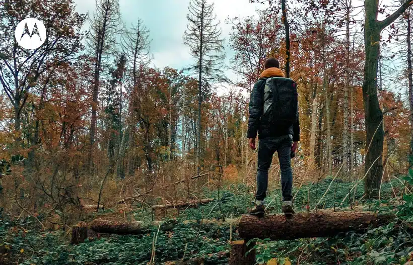8 tips voor natuurfotografie van motograaf Yoshi Mertens