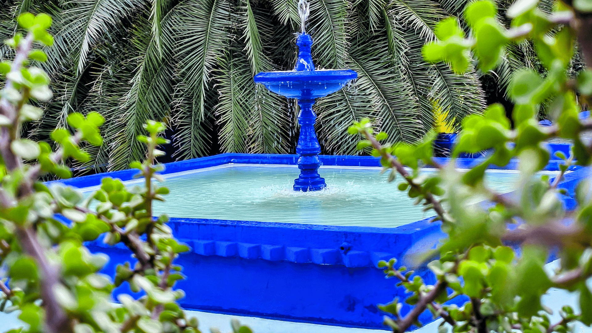 Laat Marrakech je positief en kleurrijk verrassen